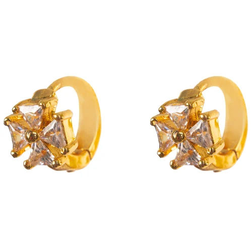 Golden Ladies Earrings - Gender: Women