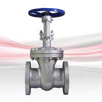 CS Gate Valve