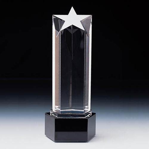 Transparent Glass Crystal Trophy