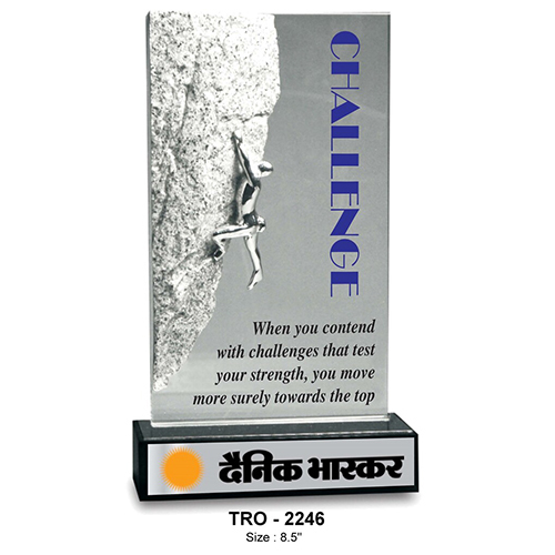 TRO-2246 - 8.5 Inch Metal Trophy