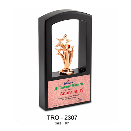 TRO-2307 - 10 Inch Metal Trophy