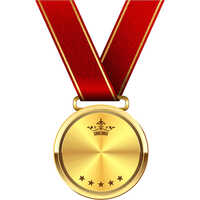 Winner Sports Medal