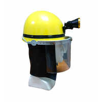 Safety Helmet With Torch