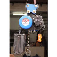 1 Ton Electric Chain Hoist With Push Pull Trolley - Color: Blue