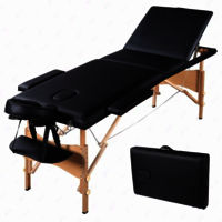 Professional Portable Massage Table Folding Spa Bed Height Adjustable Salon Bed 2 Fold Tattoo Bed