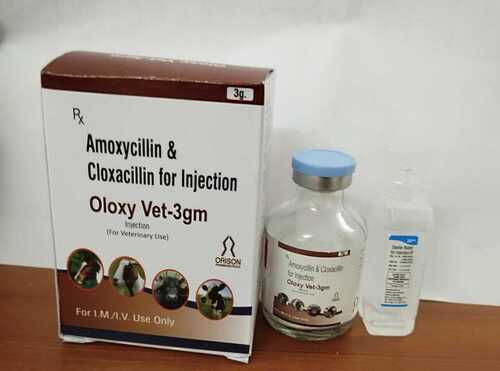 Amoxicillin + Cloxacillin INJECTION