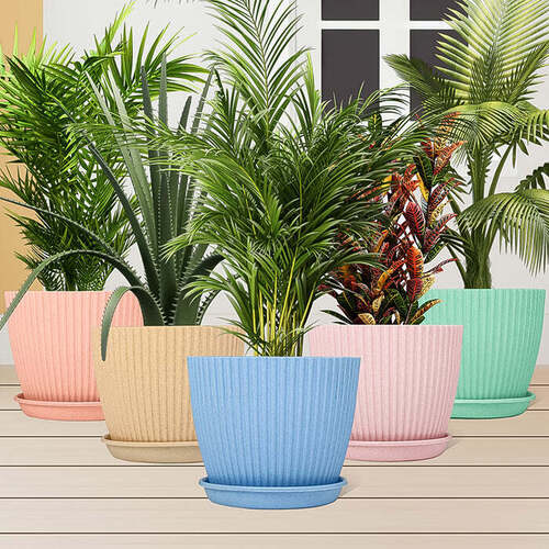 Plastic Flower Pot