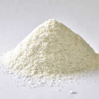 Casein Protein