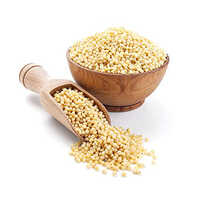 Sorghum Millets