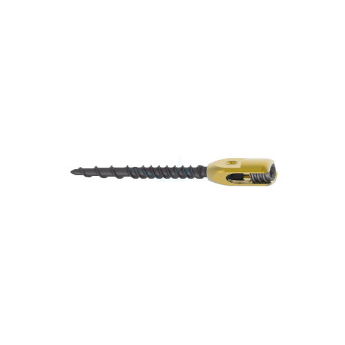 Poly Axial Screw Single Lock - Color: Golden