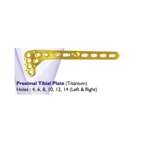 Proximal Tibial Plate