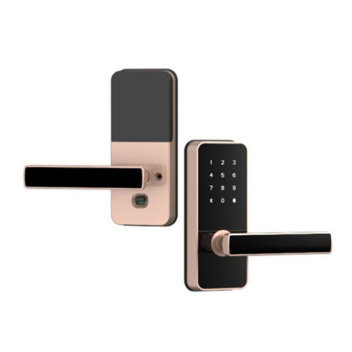 Catus Touch Digital Door Lock With 2 In 1 Access