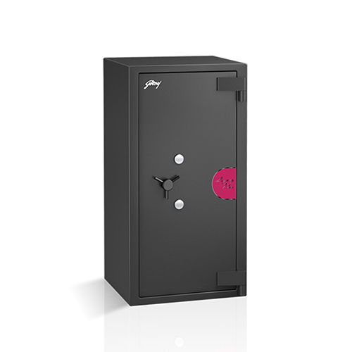 Legacy Plus Safes