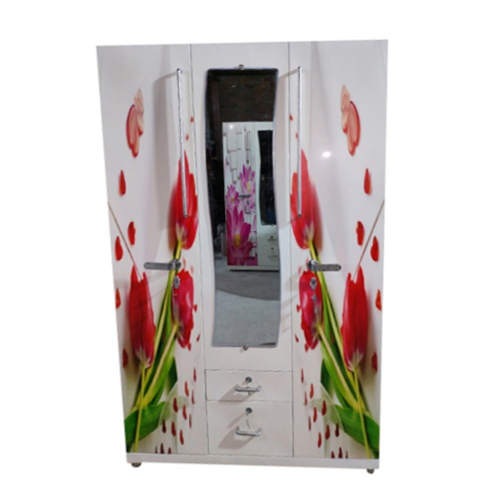 Domestic Delux Steel Almirah - Color: Multicolour