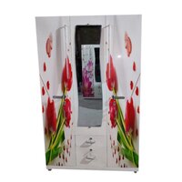 Domestic Delux Steel Almirah - Color: Multicolour