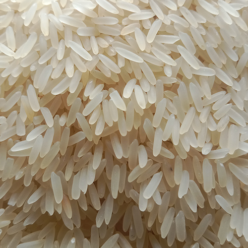 Premium Miniket Rice