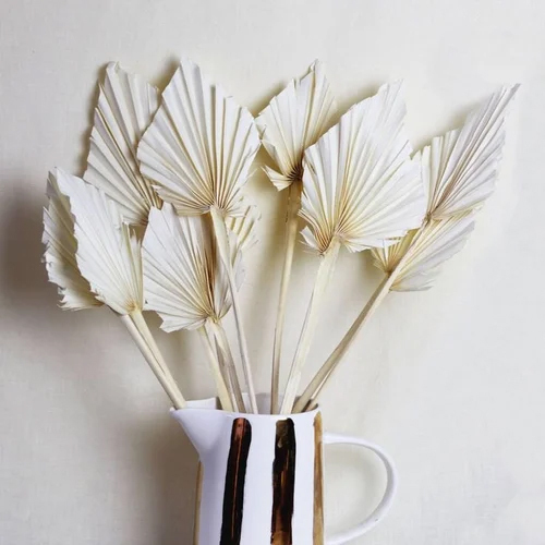 Dried Palm Leaves