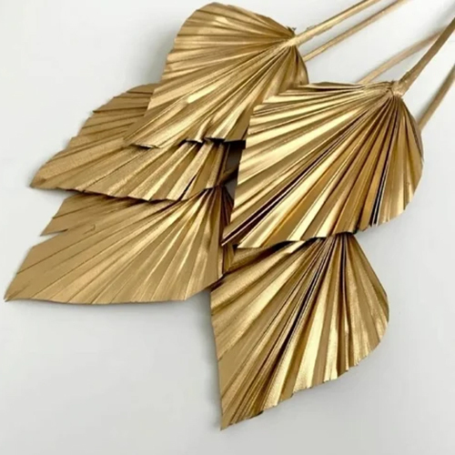 Dried Palm Leaves