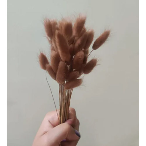 Dried Pampas Grass