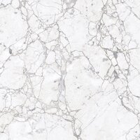 Porcelain Floor Tiles CEASAR SNOW