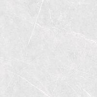 Porcelain Floor Tiles CHAMPINA GRIS