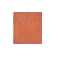 Terracotta Wall Tiles - 8 X 8 Inch, Polished Finish, Acid-resistant & Non-slip Properties In Various Colors