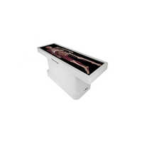 Anatomage Table - Color: Multicolor