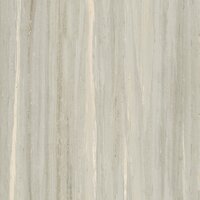 Porcelain Floor Tiles ALEXA OLIVE