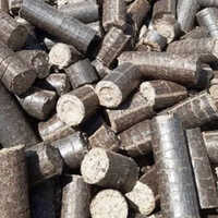 White Coal Biomass Briquette