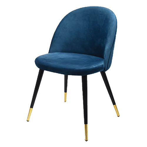 Blue Visitor Chair - Color: Different Available