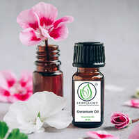 Geranium Oil - 80-99% Pure Herbal Extract , Luxurious Aroma For Aromatherapy And Massage