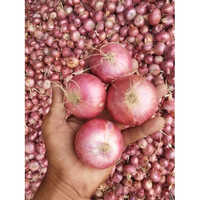 Fresh Onion - Moisture 80%, Raw Processing, Natural Shape | Shelf Life 6 Months, Ideal for Flavorful Culinary Creations