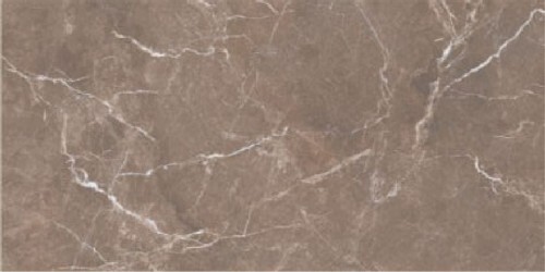 Glossy Porcelain Wall Tiles ARISTO BROWN