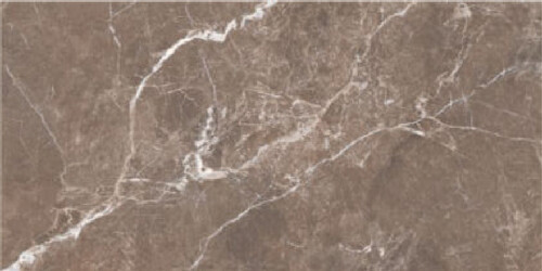 Glossy Porcelain Wall Tiles ARISTO BROWN