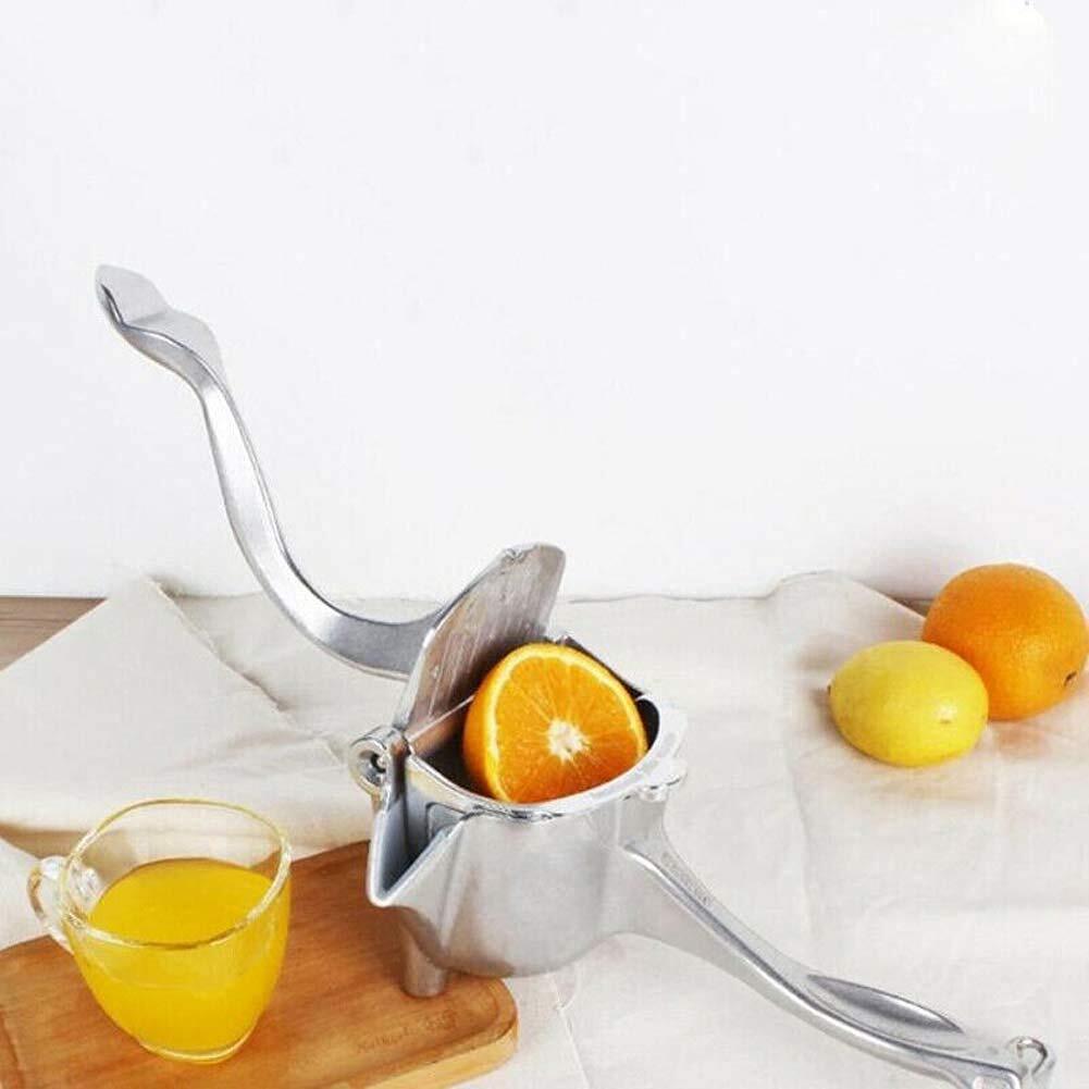 steel fruit juicer chinese