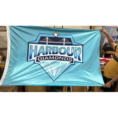 Custom Logo Flag