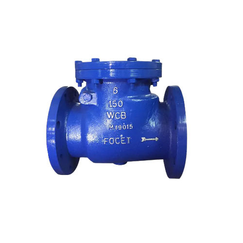 Swing Type Check Valve - Application: Industrial