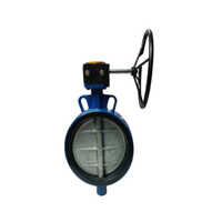 Wefar Type Centric Disc Valve - Color: Silver