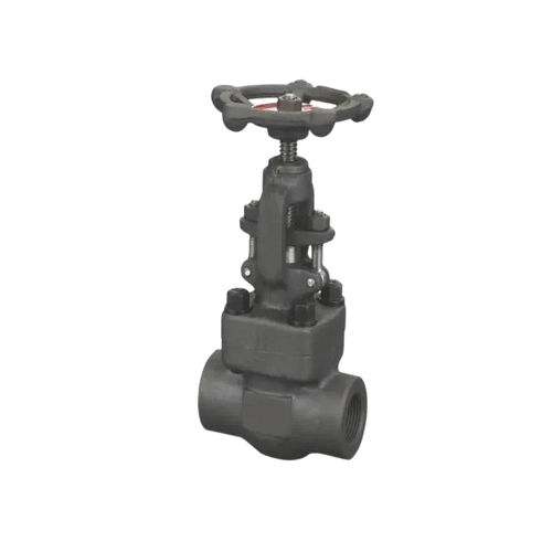 Astm A 105 Forged Steel Gate Valve - Color: Black