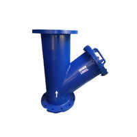 Fabricated Y Type Strainer - Color: Blue