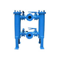 Fabricated Duplex Type Strainer - Color: Blue