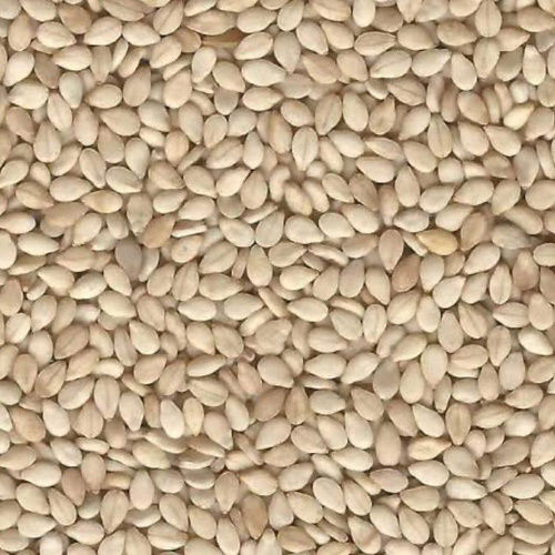 Sesame Seeds - Color: White