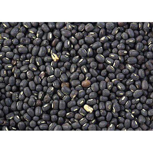 Black Gram Dal - Cultivation Type: Organic