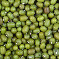 Green Moong Dal - Cultivation Type: Organic