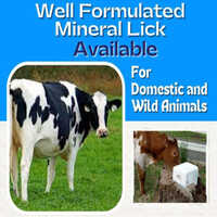 Well Formulated Mineral Salt Lick Block - Color: White