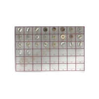 Branded Embossed Polyester Buttons - Polyester, Sizes 14/16/18 Mm, Multicolor | Round, 4 Holes, Plain Technique For Enhancing Clothing Personalization