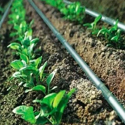 कृषि ड्रिप सिंचाई प्रणाली