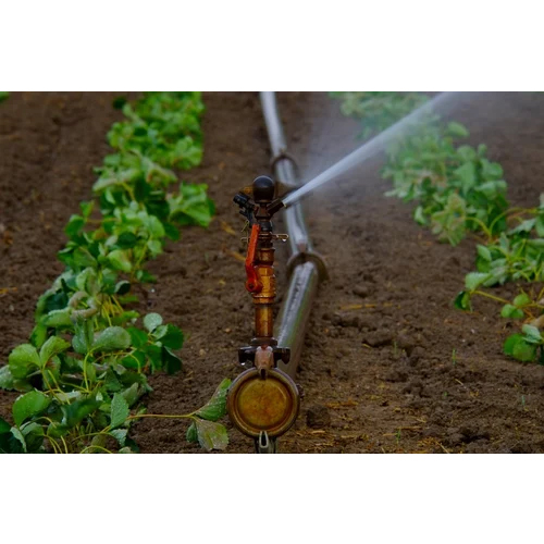 इरिगेशन स्प्रिंकलर सिस्टम