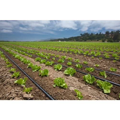 एचडीपीई ड्रिप इरिगेशन सिस्टम