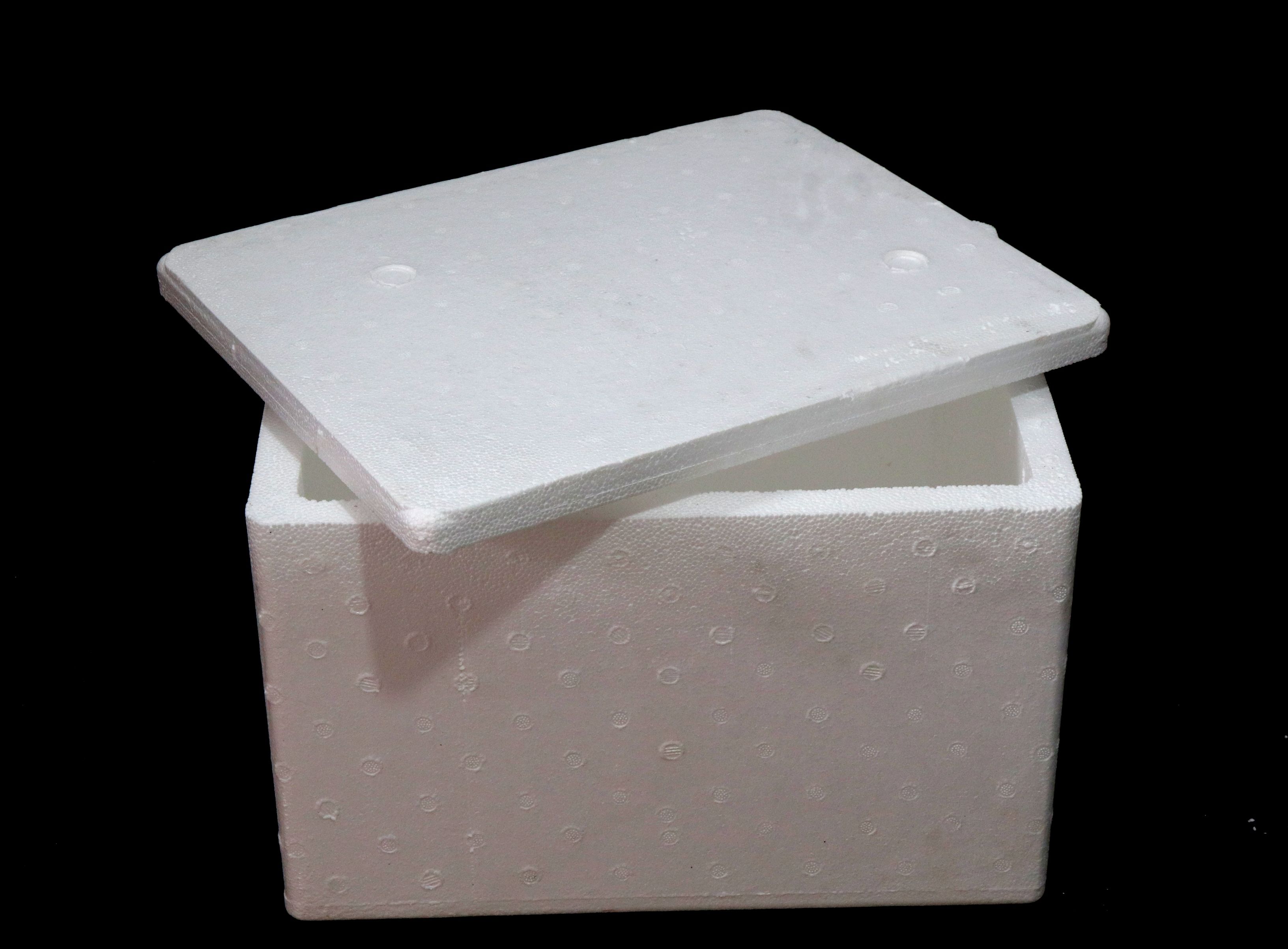 Thermocol Plain Std Box